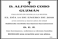 Alfonso Cobo Guzmán